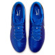 Nike Legend 10 Academy FG/MG